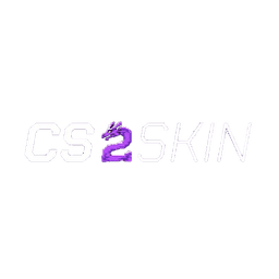 CS2SKIN