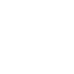 Rainbet